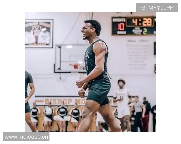 名嘴点评布朗尼实力超越次轮末水平批评利用他打压黑老詹的人应感羞愧