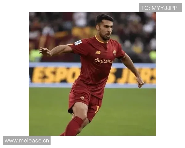 意甲第14轮处罚公告切利克停赛1场恩佐拉遭遇3场禁赛处罚